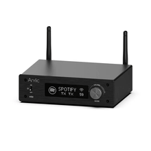 Cargar imagen en el visor de la galería, Arylic H50
