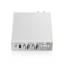 Cargar imagen en el visor de la galería, FiiO LEVEL 1
