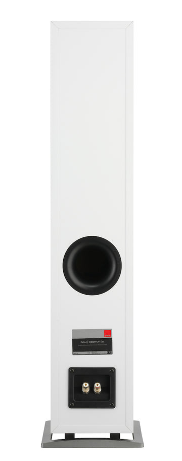 Dali Oberon 5 blanco conexiones