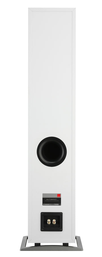 Dali Oberon 7 blanco conexiones