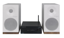 Cargar imagen en el visor de la galería, Tangent Ampster II X4 Micro System
